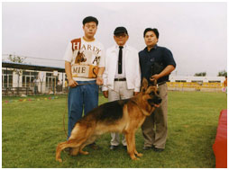 In 2000 Li Yan Chai wave stud dog dog show winners in Shenyang