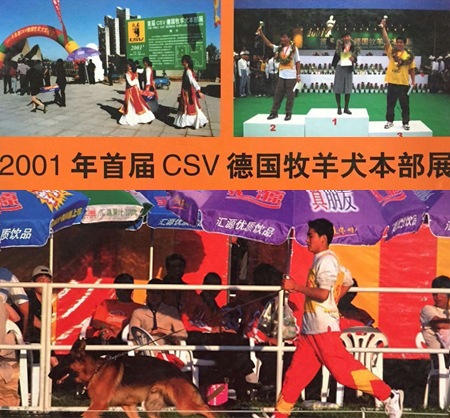 2001 CSV Part exhibition Li Yan stud dog: Kui Lou won VA4